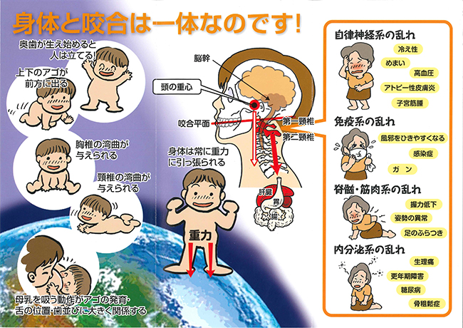 身体と咬合(噛み合わせ)の関係性についてのイラスト